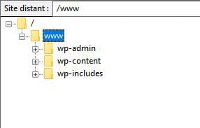 How to delete a Wordpress site?