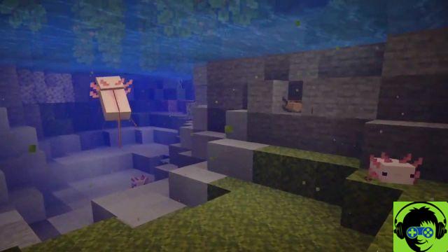 Come trovare e acquisire Axolotl nell'aggiornamento Minecraft Caves & Cliffs