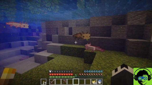 Cómo encontrar y adquirir Axolotl en la actualización de Minecraft Caves & Cliffs
