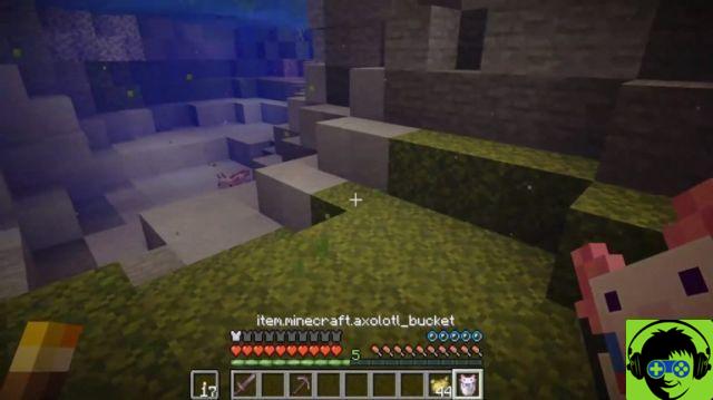 How to find and acquire Axolotl in the Minecraft Caves & Cliffs update