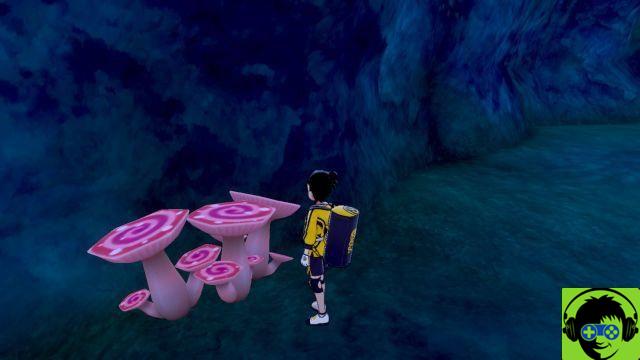 Pokémon Sword and Shield: Isle of Armor - Where are the three Max mushrooms?