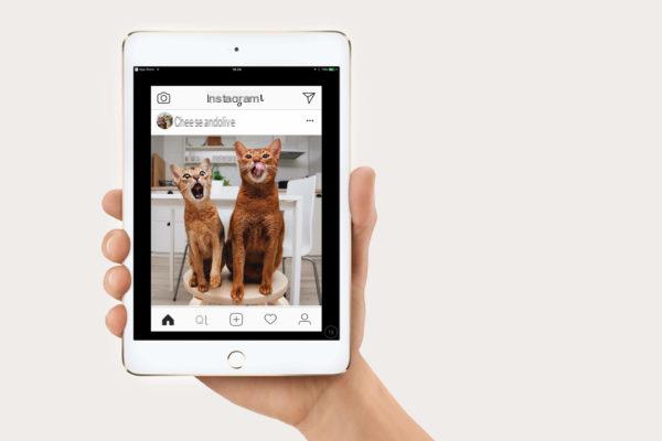 Descarga videos de Instagram a iPhone y iPad