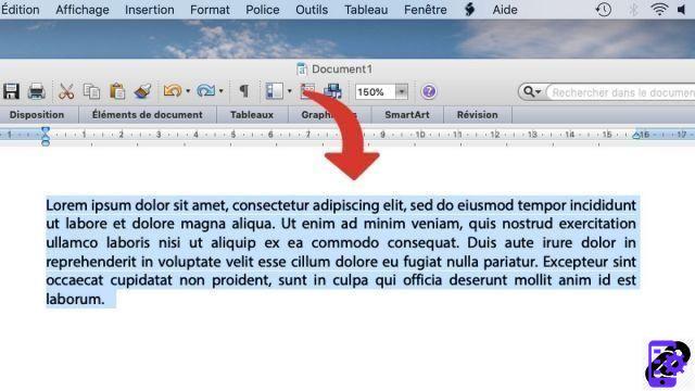 ¿Cómo invertir un texto en Word?