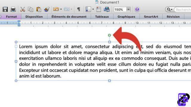 ¿Cómo invertir un texto en Word?