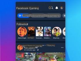 Facebook Gaming (Gameroom)
