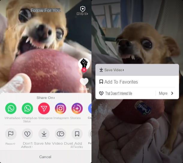 Come salvare i video di TikTok