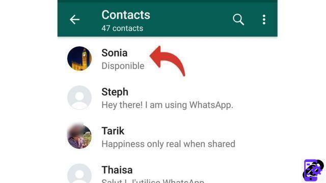How to make an audio call with WhatsApp?