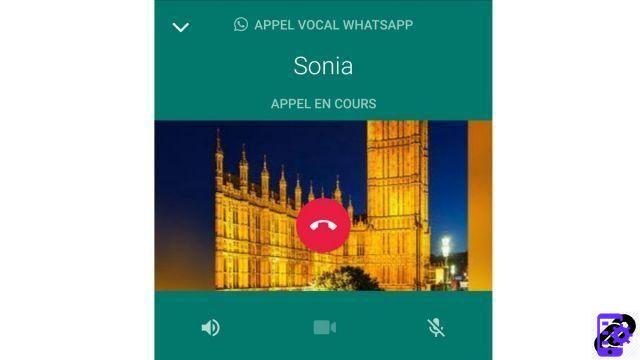 ¿Cómo hacer una llamada de audio con WhatsApp?