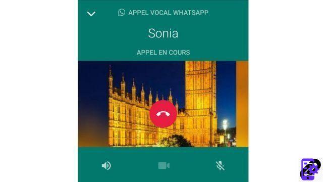 How to make an audio call with WhatsApp?