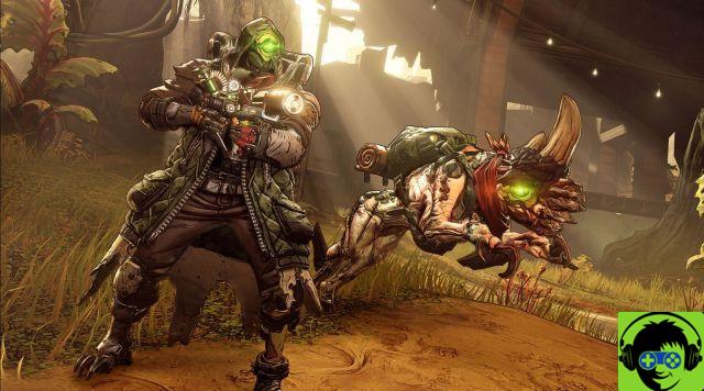 Does Borderlands 3 have local co-op?