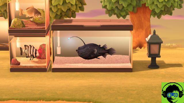 How to catch a soccer fish in Animal Crossing: New Horizons
