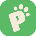 Pedigreender, o aplicativo de namoro para cães e gatos