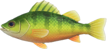 The fish not to be missed in October in Animal Crossing: New Horizons