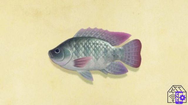 The fish not to be missed in October in Animal Crossing: New Horizons