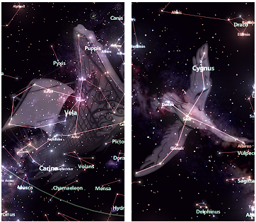 As melhores aplicações para a identificação de estrelas