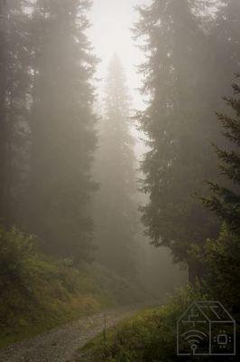 Photographing in the fog