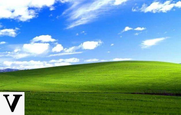 Windows XP wallpaper turns XNUMX