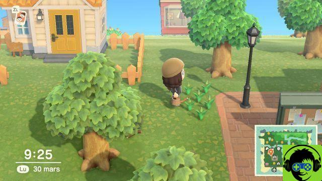 Animal Crossing: New Horizons - Tutto sui fiori e su come realizzare fiori ibridi