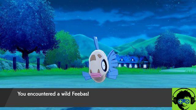 Dove trovare e come far evolvere Barpau - Pokemon Sword and Shield