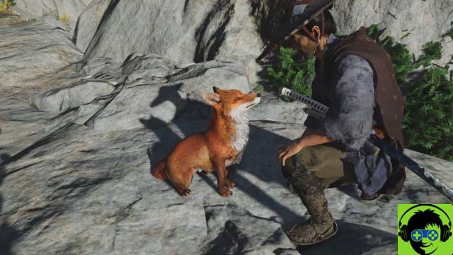 Ghost of Tsushima Fox Dens Explained - What to Do in a Fox Pit