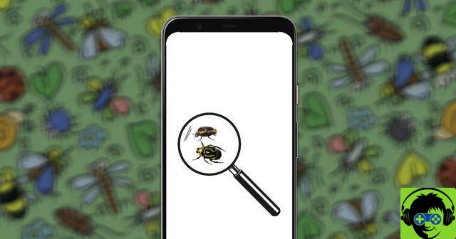 Las 4 apps para identificar los insectos más recomendables