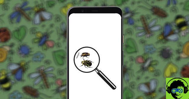 The 4 apps to identify the most recommended insects