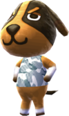 All birthdays in Animal Crossing: New Horizons