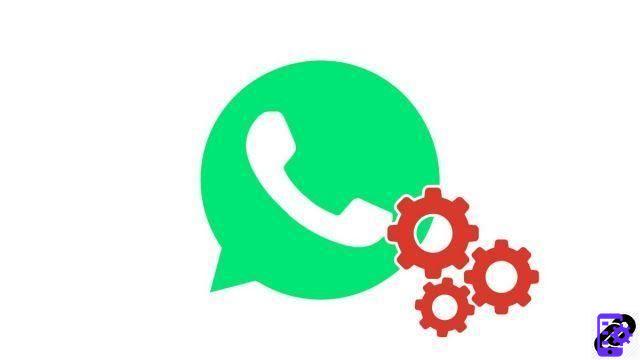 How do I activate WhatsApp notifications?