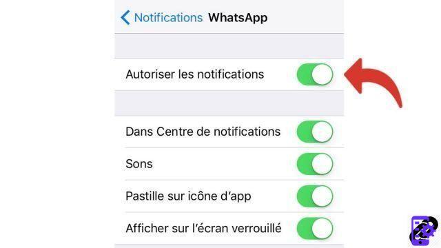 Como ativo as notificações do WhatsApp?