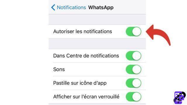 ¿Cómo activo las notificaciones de WhatsApp?