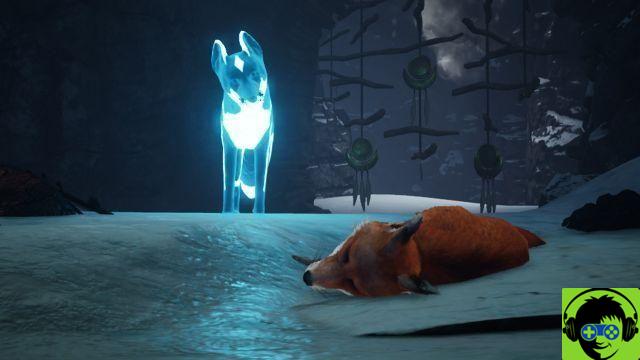 Spirit of the North - Examen de la version Nintendo Switch