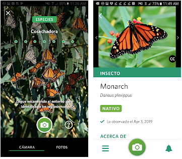 The best apps to identify animals