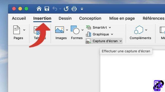 How to quickly insert screenshot in Word?