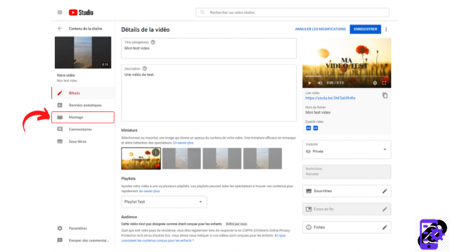 ¿Cómo desenfocar elementos en un video de YouTube?