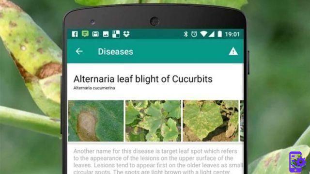 10 Best Gardening Apps for Android