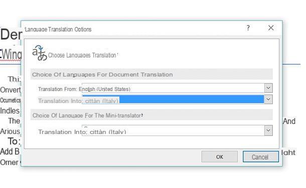 How to translate Word document