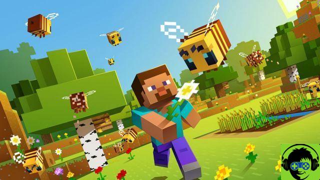 Note sulla patch dell'aggiornamento 2.18 di Minecraft