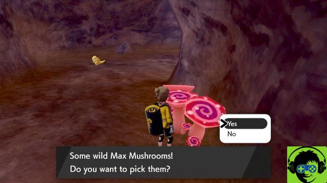Pokémon Sword and Shield: Isle of Armor DLC - How to Get Maximum Mushrooms | Max Soup Breeding Guide