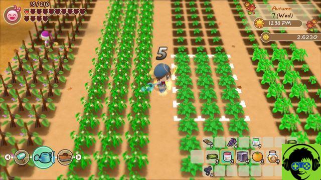 Comment planter des cultures dans Story of Seasons: Friends of Mineral Town