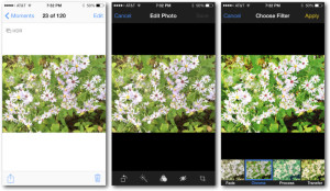 Hacer, editar y compartir fotos con iOS 7