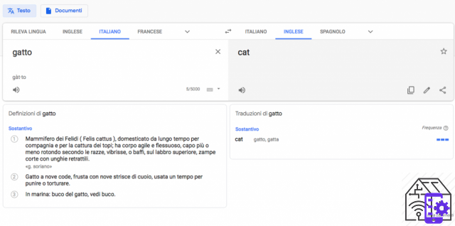 Everything you need to know about Google Translate