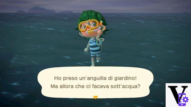 Toutes les créatures marines à ne pas manquer dans Animal Crossing New Horizons