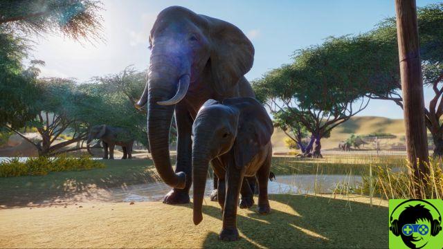 Cómo acceder a la beta de Planet Zoo