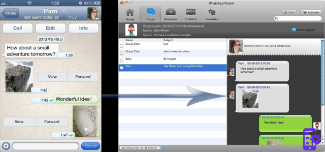 Whatsapp Pocket: guarda conversaciones de Whatsapp en PC y Mac