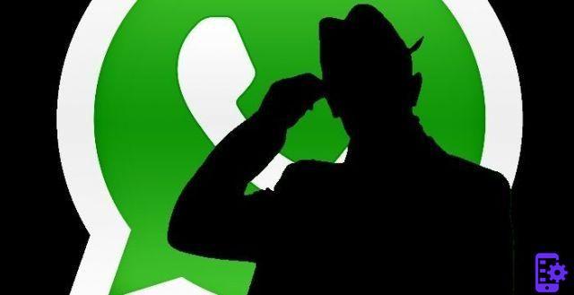 How to find out who has read a message in a group on Whatsapp