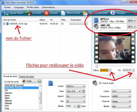 Usando Free Video Converter