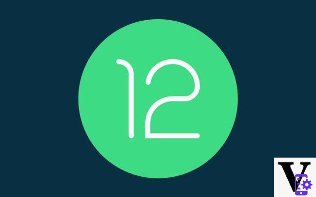 Android 12: o primeiro beta está disponível, como instalá-lo