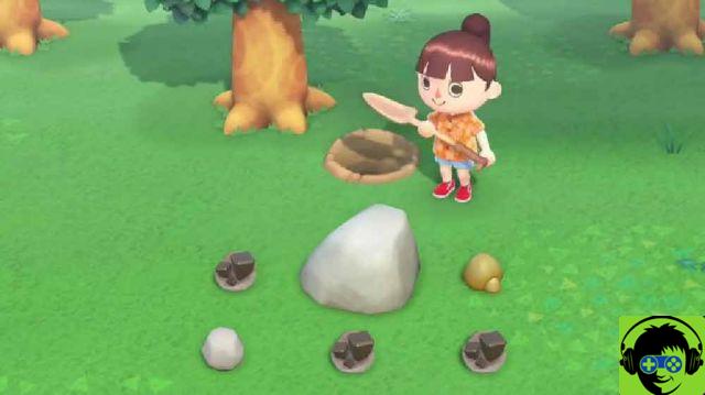 Animal Crossing New Horizons: Hacer 11 Tareas Diarias