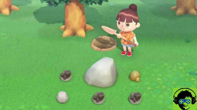 Animal Crossing New Horizon 11 Tarefas Diarias