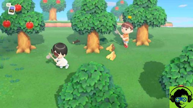 Animal Crossing New Horizons: Hacer 11 Tareas Diarias